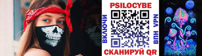 Псилоцибиновые грибы Psilocybe  Люберцы 