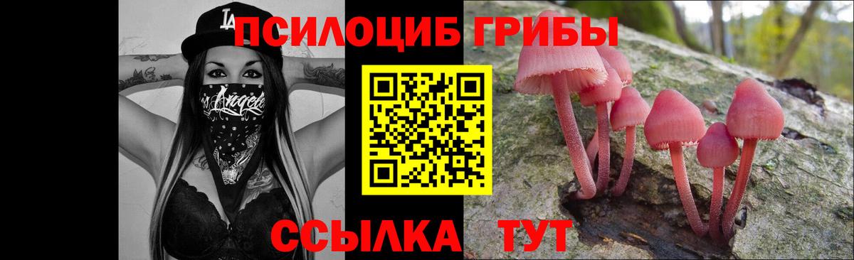 Псилоцибиновые грибы MAGIC MUSHROOMS Люберцы